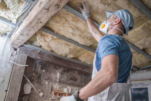 Best Residential Insulation in Suffolk, VA
